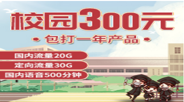 300包一年